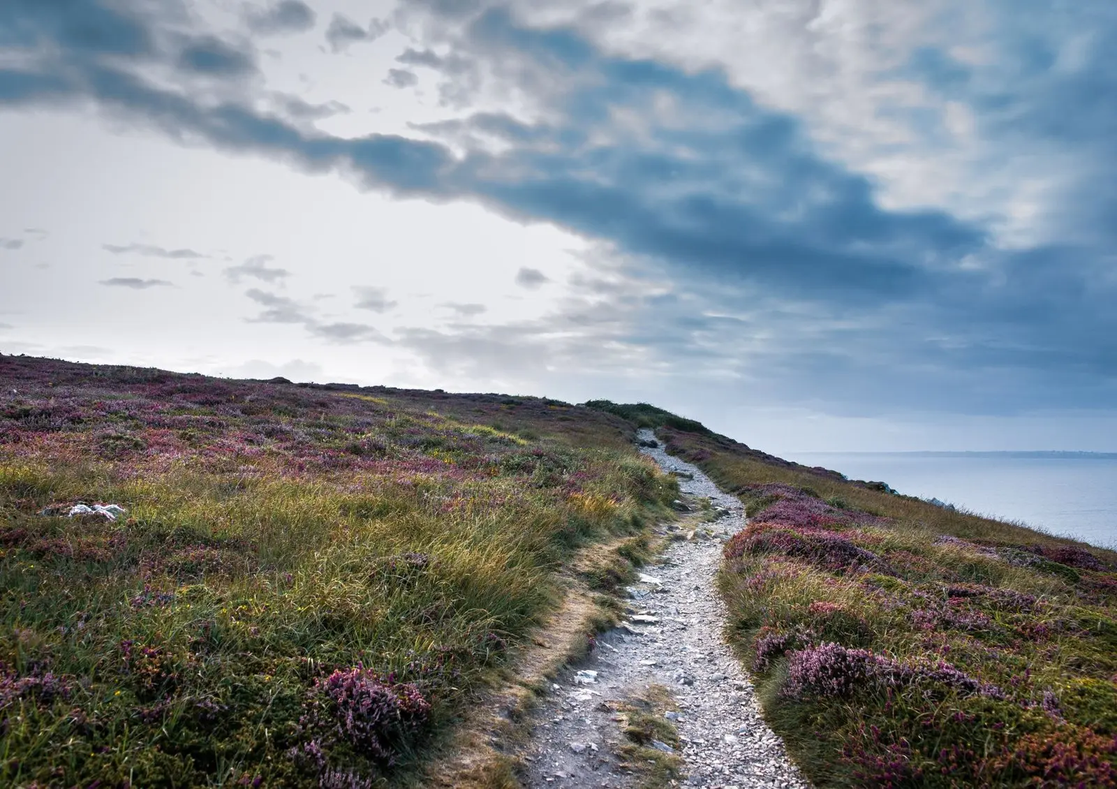 Home 138 Image shows a long and winding path in the countryside with blue sky above