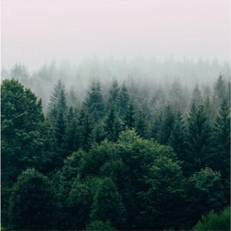 AIR ep 4 - Meditations for Healing